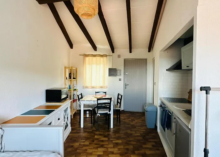 Climatise Avec Piscine A - Fr-1-309-505 Apartment *