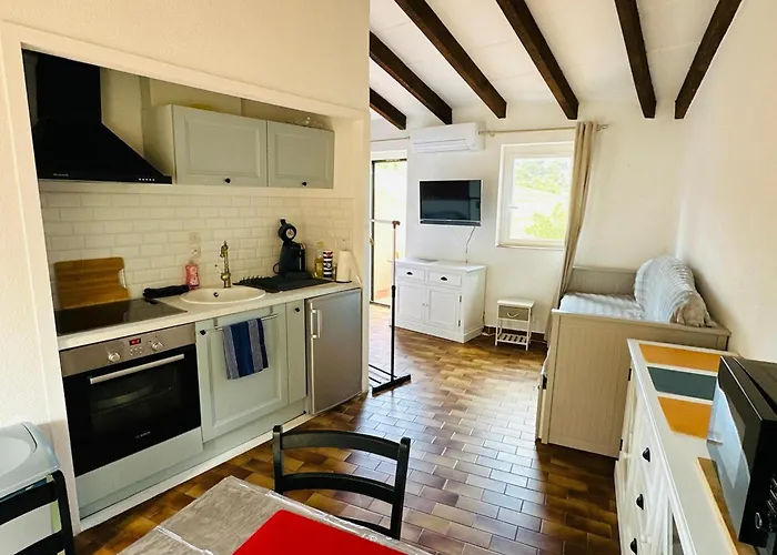 Διαμέρισμα Climatise Avec Piscine A - Fr-1-309-505 Κολιούρ