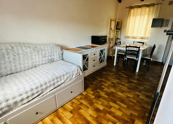 Climatise Avec Piscine A - Fr-1-309-505 Διαμέρισμα *